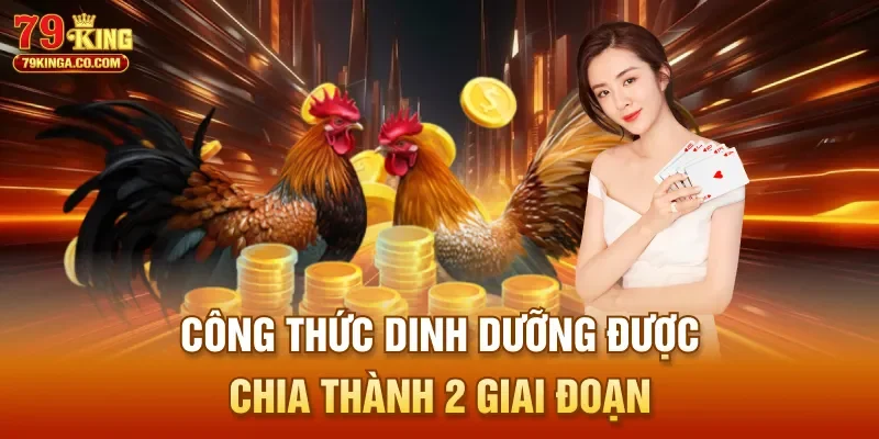 Công thức dinh dưỡng được chia thành 2 giai đoạn